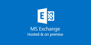 ms exchange